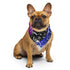 Genderfluid Pride Waves Bandana